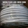 neon flex led 2835