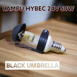 lampu hybec 24v 50w